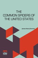 James Henry Emerton | The Common Spiders Of The United States | Taschenbuch