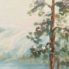 Bild 12 von 17