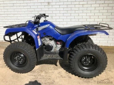 gumtree quads