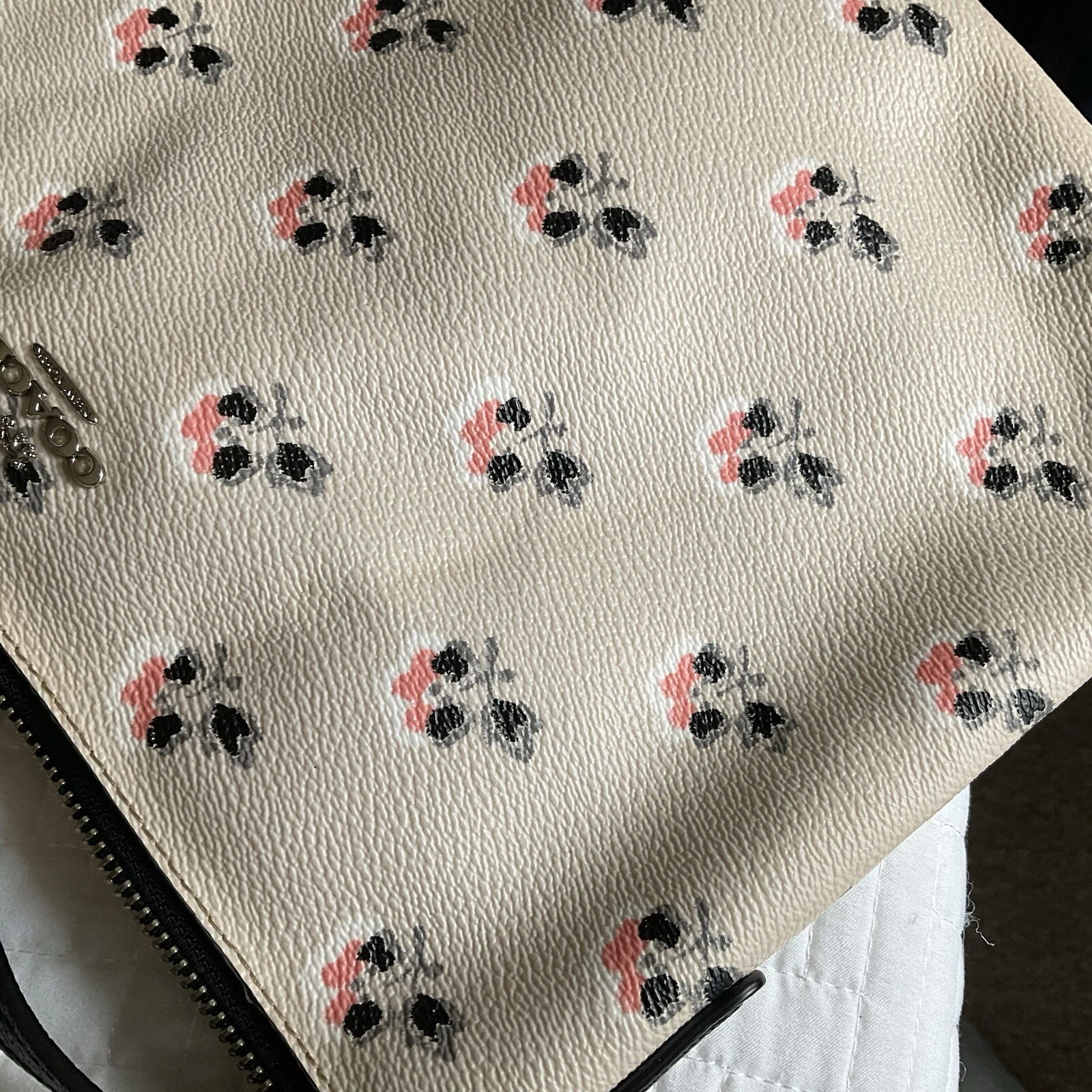 Borsa Coach Kitt Messenger tracolla vernice dabs floreale gesso pelle borsa borsetta