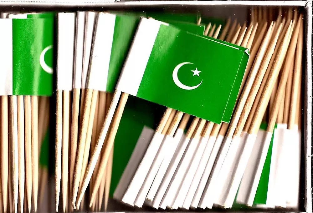  stidsds 100 Pcs Pakistan Flag Pakistan Toothpick