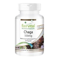 Chaga 500 Mg - 90 Kapseln, Pilzpulver, Adaptogener Vitalpilz - Vegan | Fairvital