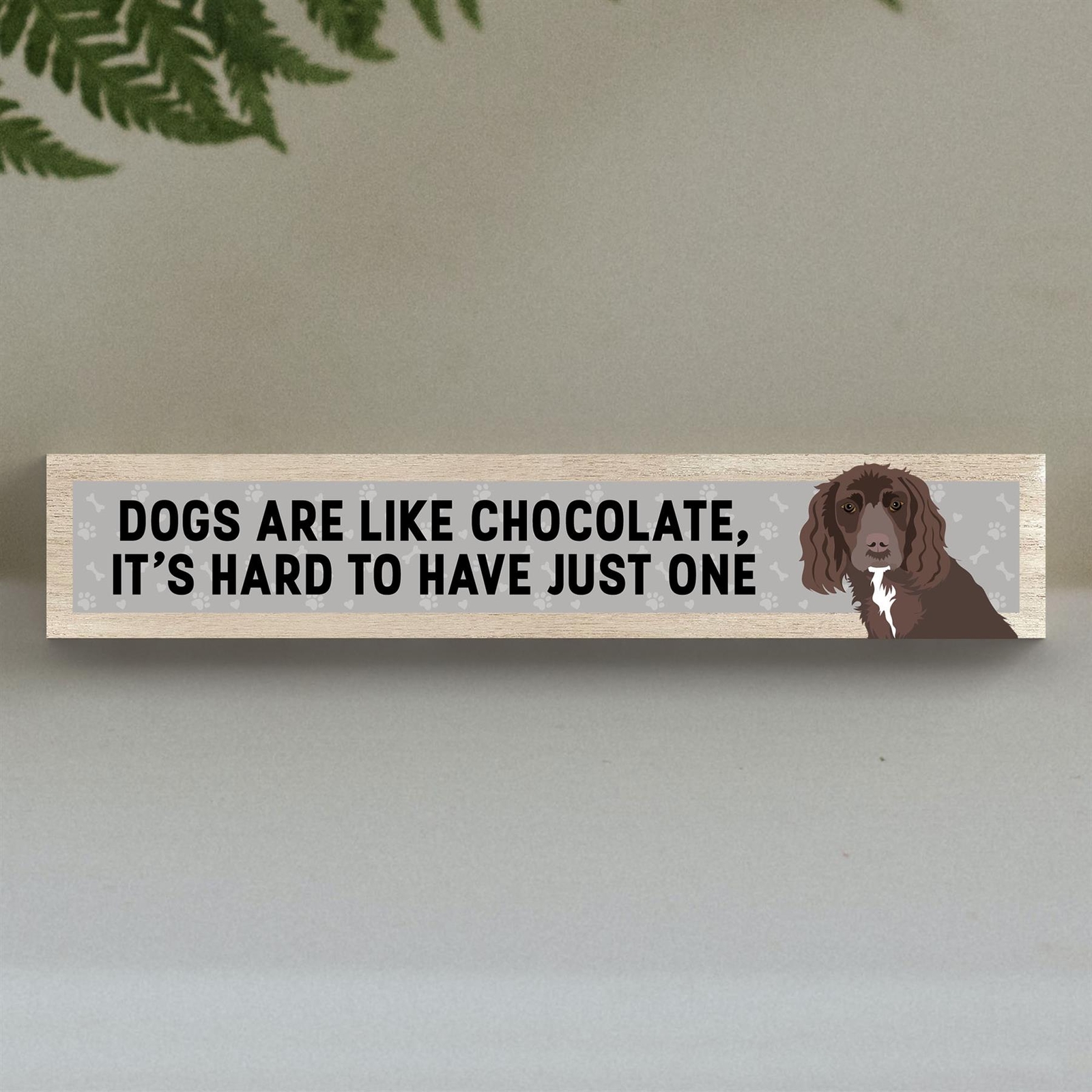 Working Cocker Like Chocolate Hard To Have One Katie Pearson Momento Block