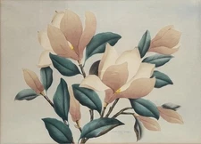 Shirrell Graves Original Painting Botanical Art Pink Magnolia California Modern