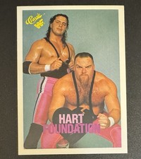 Brett Hitman Hart 1990 Classic WWF Wrrstling Hart Foundation #38