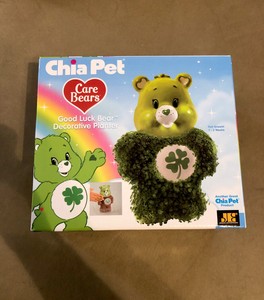 care bear chia pet
