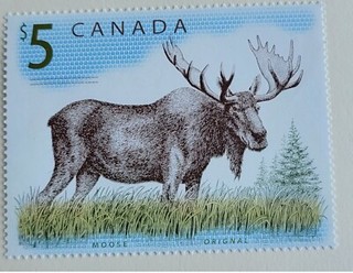 timbre Canada mosse orignal Yvert n° 2057 neuf