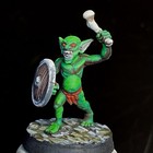 Pro Painted Goblin Warrior Fighter Monster DnD Dungeons And Dragons Pathfinder 