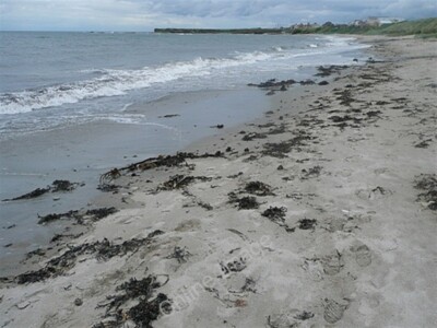Photo 6x4 North of Beadnell At high tide the rocks offshore are hidden, m c2009