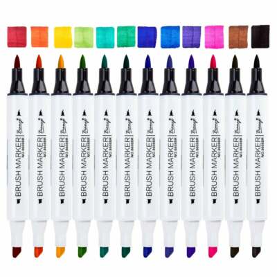 Bianyo alcohol based  markers brush and chisel tips set of 12