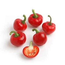 25 SWEET RED CHERRY PEPPER SEEDS ~ heirloomseedguy ~ 2026 ~ NON-GMO