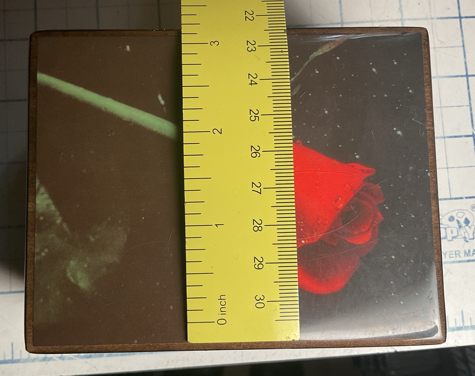 Picture 8 of 11