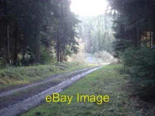 Photo 6x4 Woodland clearing on Bedstone Hill Pentre Hodre View southwards c2008