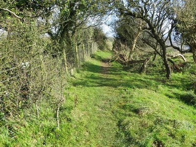 Photo A2 The North Downs and Saxon Shore Ways beside Crete Road West Fol c2017