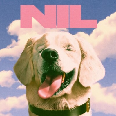 DIRTY NIL - FUCK ART   CD NEU