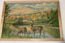  Oil painting Deer In The Forest Pitcture Has Been newly Reframed 2024 signed