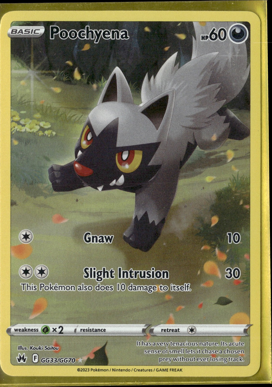 Poochyena GG33 Crown Zenith Galarian Gallery Holo Rare NM Pokemon TCG
