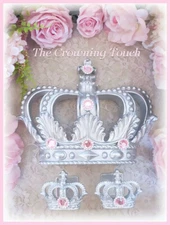 Silver & Pink Princess Crib / Bed Crown Canopy Set / Sweet Table Party Decor