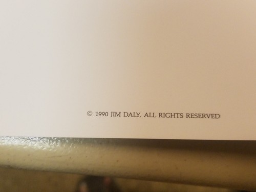 Jim Daly " Honor and Allegiance " # 476/1500 MINT $550 Value - Picture 4 of 12