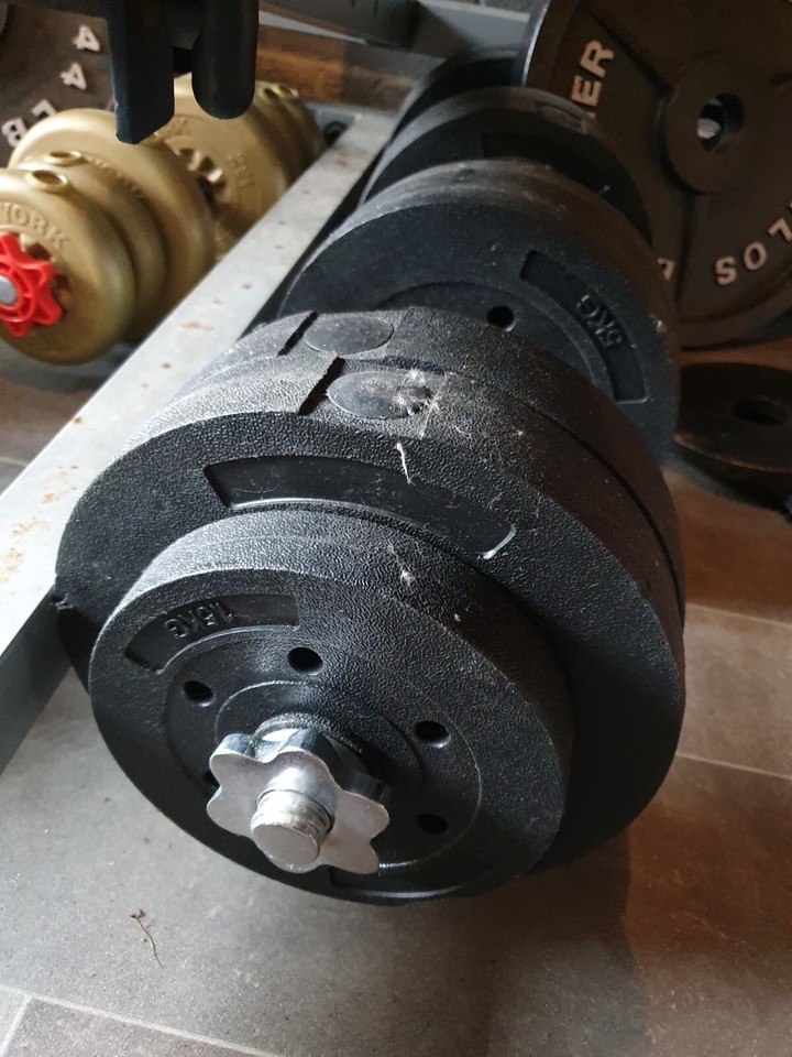 Olympic weight bench and weight lifting equipment eBay