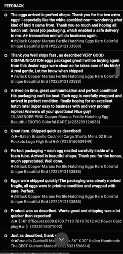 ●6 Fresh Ayam Cemani Hatching Egg-Rarest Chicken on the Planet Organic Pure