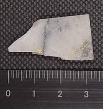 3.7 GRAM Gold Specimen in Quartz Natural From Monkland Mine, Gympie QLD, Aus