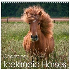 Charming Icelandic Horses  Wall Calendar 2026 12" x 24" / 30 x 60 cm open  CA