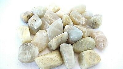 Details about   One Moonstone Tumbled Stones 25-30mm Reiki Healing Crystals by Cisco Traders 