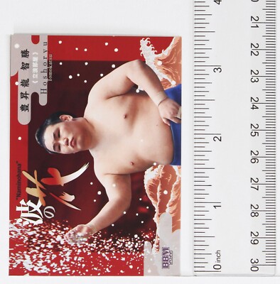 初*す様 ガマ鮎 EXCELSIOR MASTER BLOOD 9.0 初*す様 ガマ鮎 EXCELSIOR