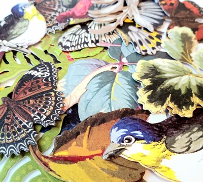 22 Pc Anna Griffin BIRDS BUTTERFLIES & FOLIAGE DIMENSIONAL Sticker Embellishment