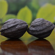 Beautiful Pair of Moqui Marbles (Shaman Stones) from Utah 205 grams