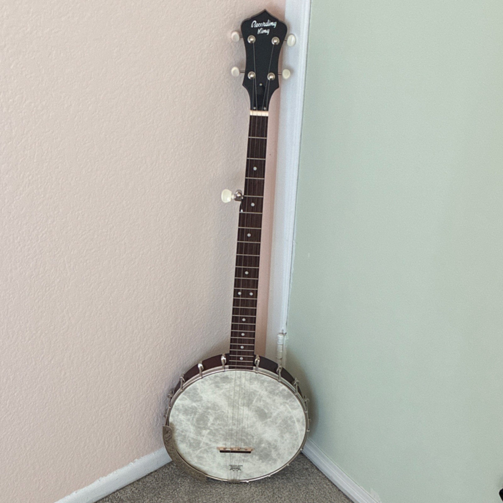Recording King 5-String Open Back Banjo Brown Silver White 5-String Banjo