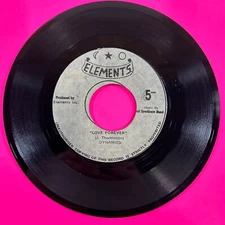 DYNAMICS - " Love Forever " 7" Vinyl Reggae - Elements label 1974 - VG+