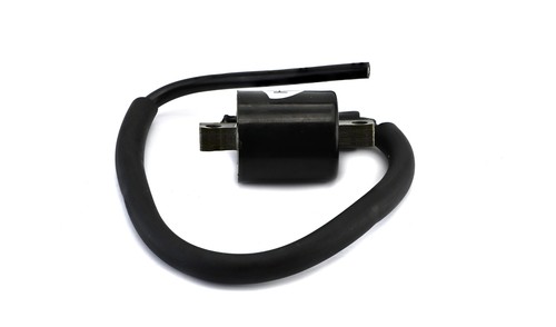 Bobina accensione per Yamaha YFM 350 FGY Grizzly 2009 (4WD) (5UHW) - Foto 3 di 4