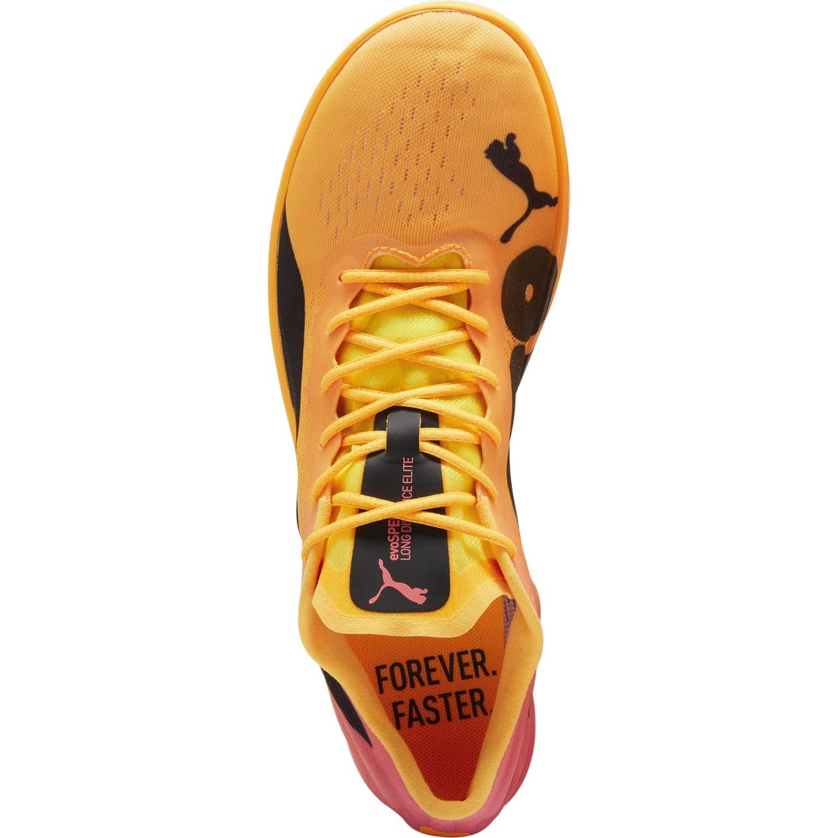 Puma evoSpeed Long Distance Nitro Elite 2 Running Spikes