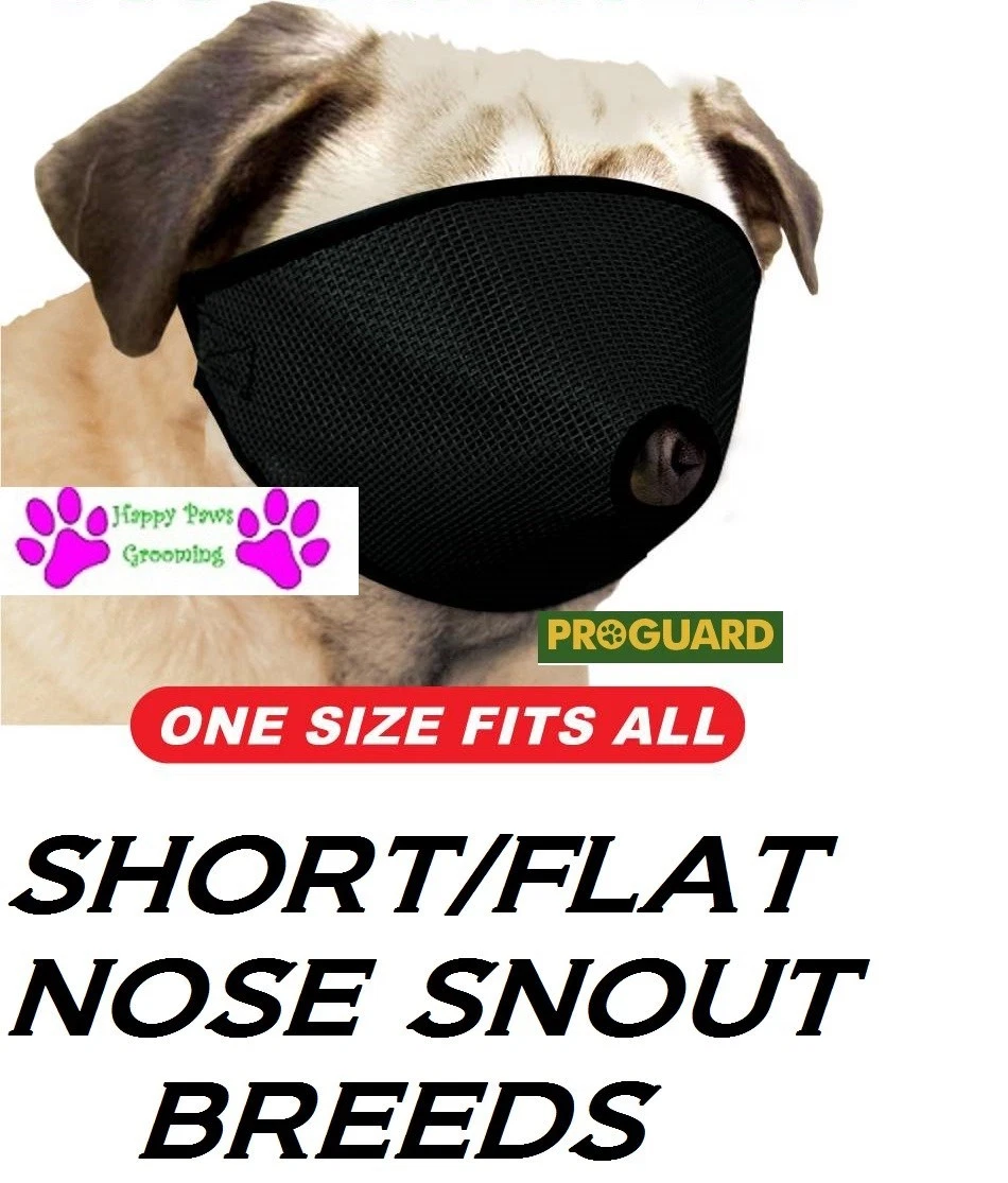 Flat nose cheap muzzle