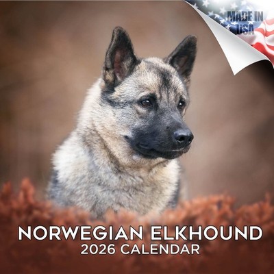 Norwegian Elkhound Dog Breed Calendar 2026 FULL SIZE 12x24 Made in
