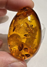 NEW Collectible Carved Honey Natural Baltic A...