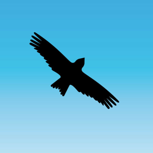 Warning Bird Sticker 7 7/8in Black Milan Bird Shock Window Protection Deco Foil