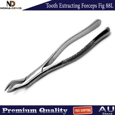 Surgical Dental Extracting Forceps Fig 88L Tooth Extraction Instruments CE