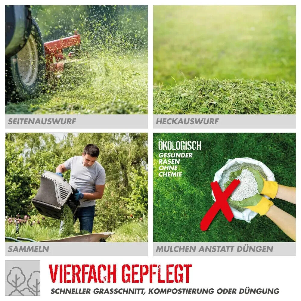 Bild 7 von 10