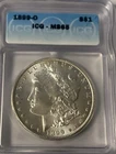 1899-0 Morgan MS65