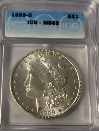 1899-0 Morgan MS65