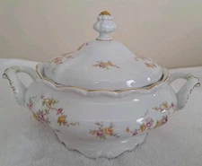 Vintage Johann Haviland Bavaria Floral ROSETHORN Covered Vegetable/Soup Tureen