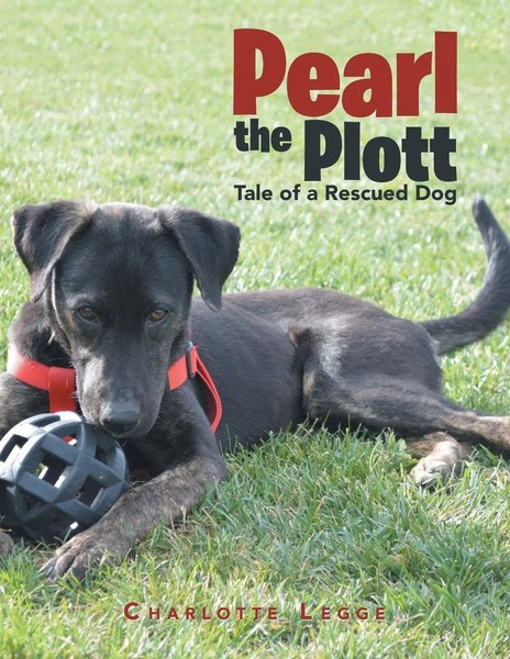 Charlotte Legge | Pearl The Plott | Taschenbuch | Englisch (2019) | Iuniverse-image