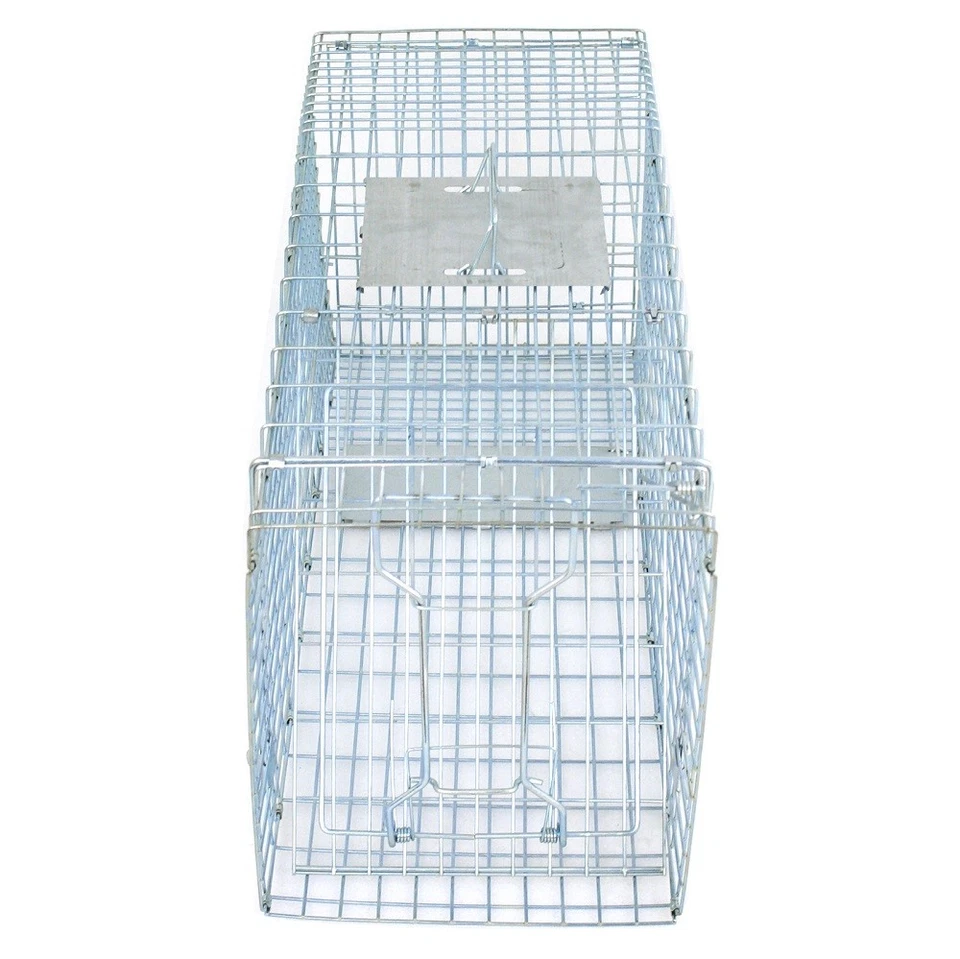 32" Live Animal Cage Trap Heavy Duty Folding Raccoon Traps Humane Cat Trap - Image 3 of 4
