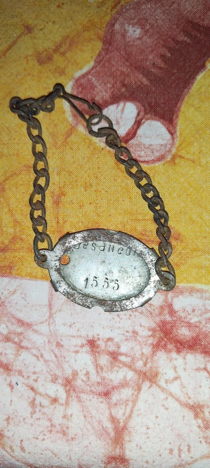 Plaque Identité Militaire Fin 19 Ème Siècle - Photo 2/2