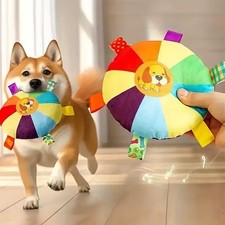 Bear Dog Toy Squeaky Plush Interactive Puppy Training Toy