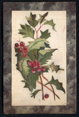 Silk postcard holly branches with ripe berries 1907 