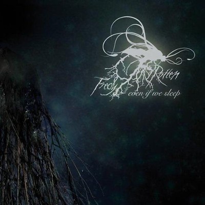 Fredy Rotten - Even If We Sleep